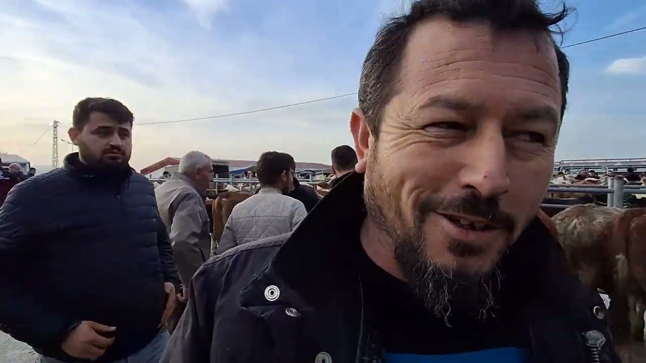 ÇORUM HAYVAN PAZARI BÜYÜKBAŞ.                    17 MART ÇEKİMİ 2.BÖLÜM 19 MART 2025