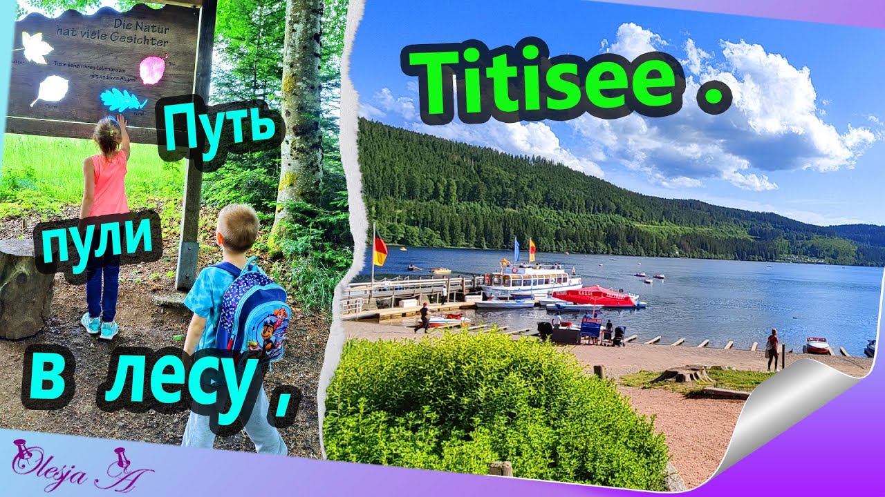 10. Курорт/ Влог/ Развлечение ( Путь пули в лесу )/ Дети в восторге/ Titisee.