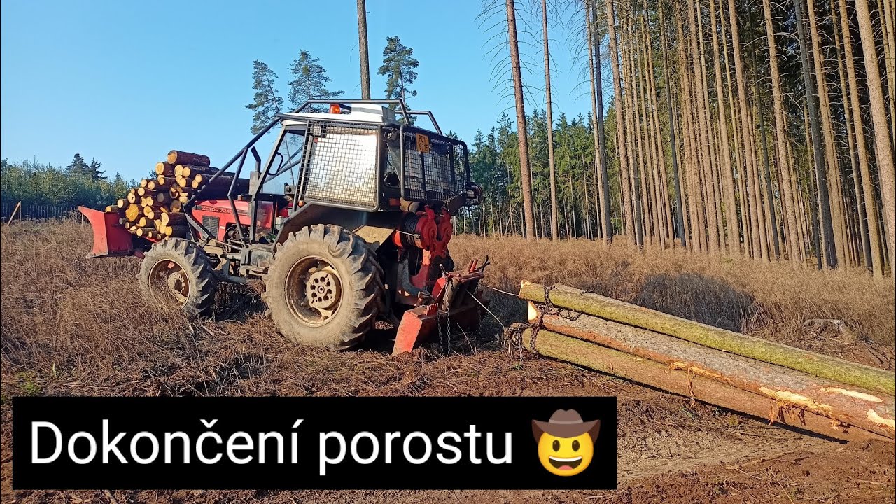 Těžba smrků, dokončili jsme porost, Zetor 7245, Agama aga 2, Stihl, mechanický klín,@jpforest8882