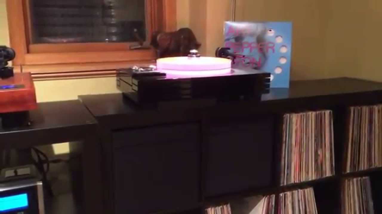 JD's Vinyl Community Room Tour