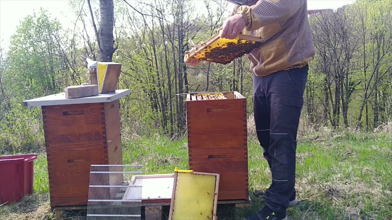 Najzamudnejše delo v čebelarski sezoni