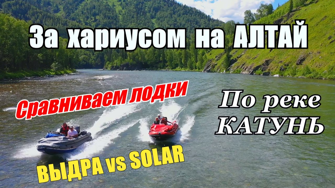 Сравнение лодки Solar и Выдра/Алтай - за хариусом на рыбалку/Как нас унизили местные на реке #1