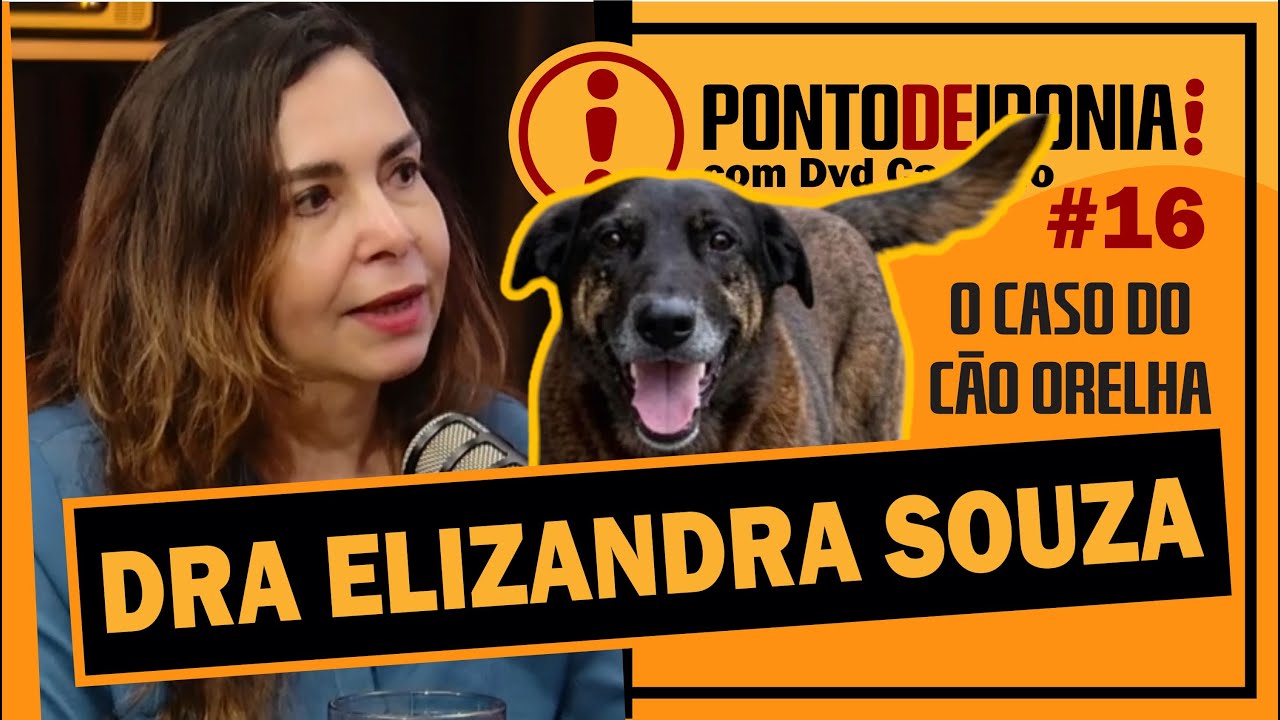 DRA ELIZANDRA SOUZA - O CASO ORELHA E OUTRAS MALDADES | PONTO DE IRONIA #16 #podcast #batepapo