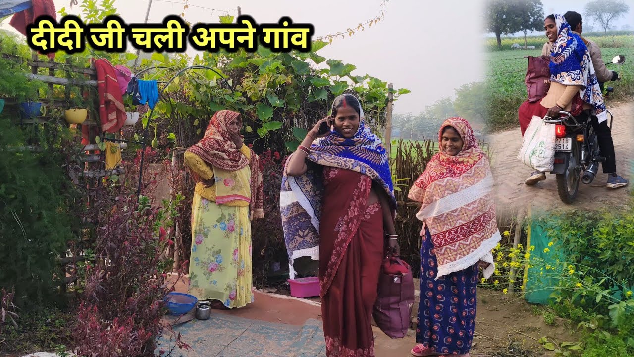 आज दीदी जी चली गई अपने गांव | जया जी उदास हो गई |
