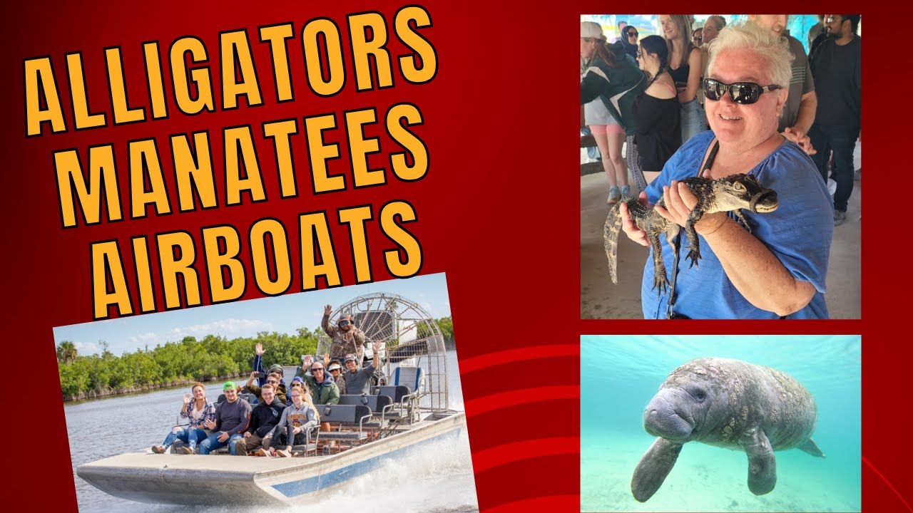 Everglades Airboat Tour: Alligators, Manatees, Swamp Buggy and Airboats | RVacationer