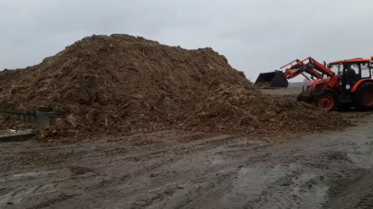 Ferie 2020- obornik z kurników