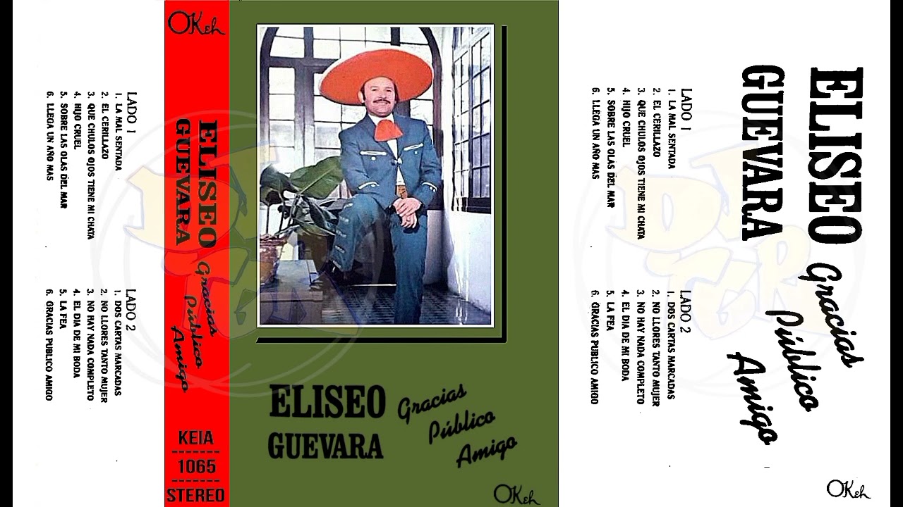 ELISEO GUEVARA  - GRACIAS PUBLICO AMIGO ENGANCHADO DJ TGR