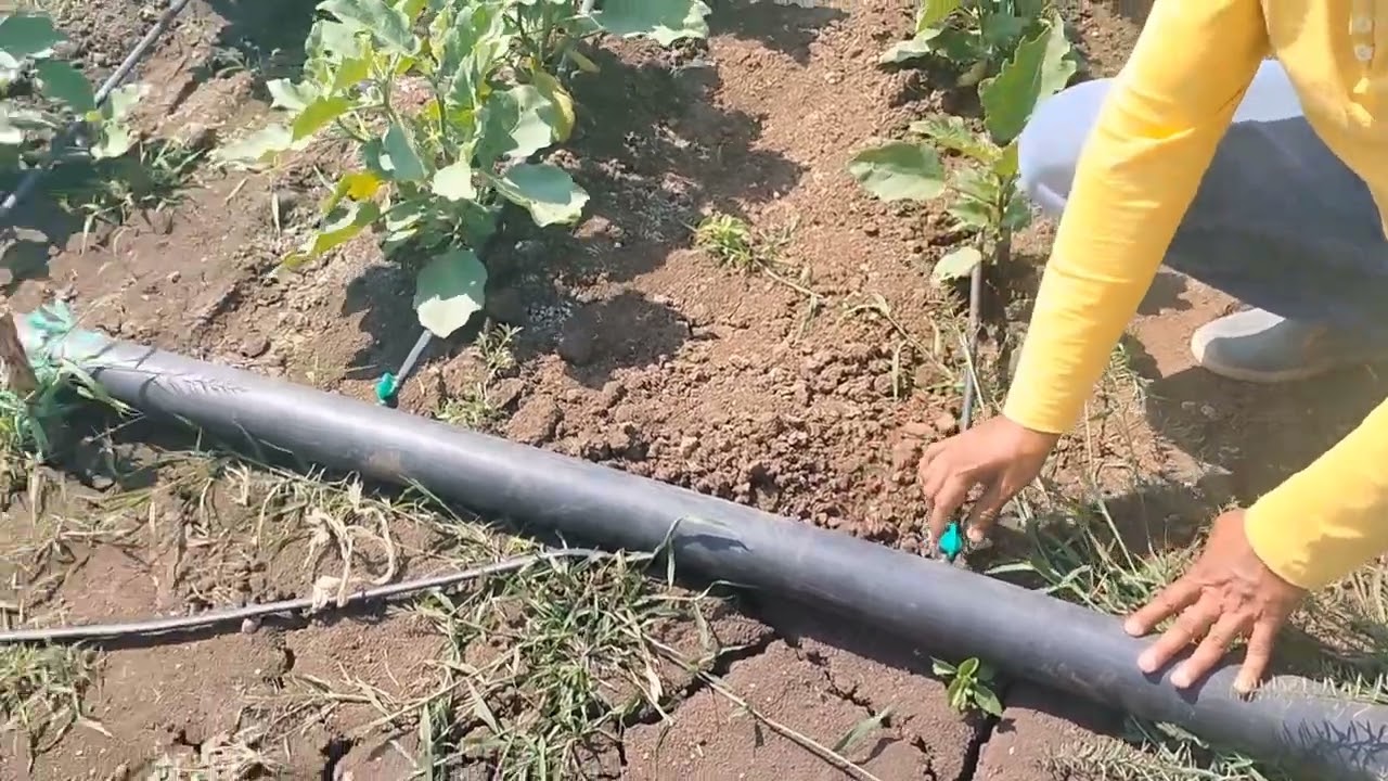 ओपन ड्रिप कैसे लगाएं:भाग 1