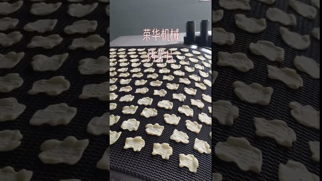 WENVA Baked Potato Chips Hard Biscuit Production Line