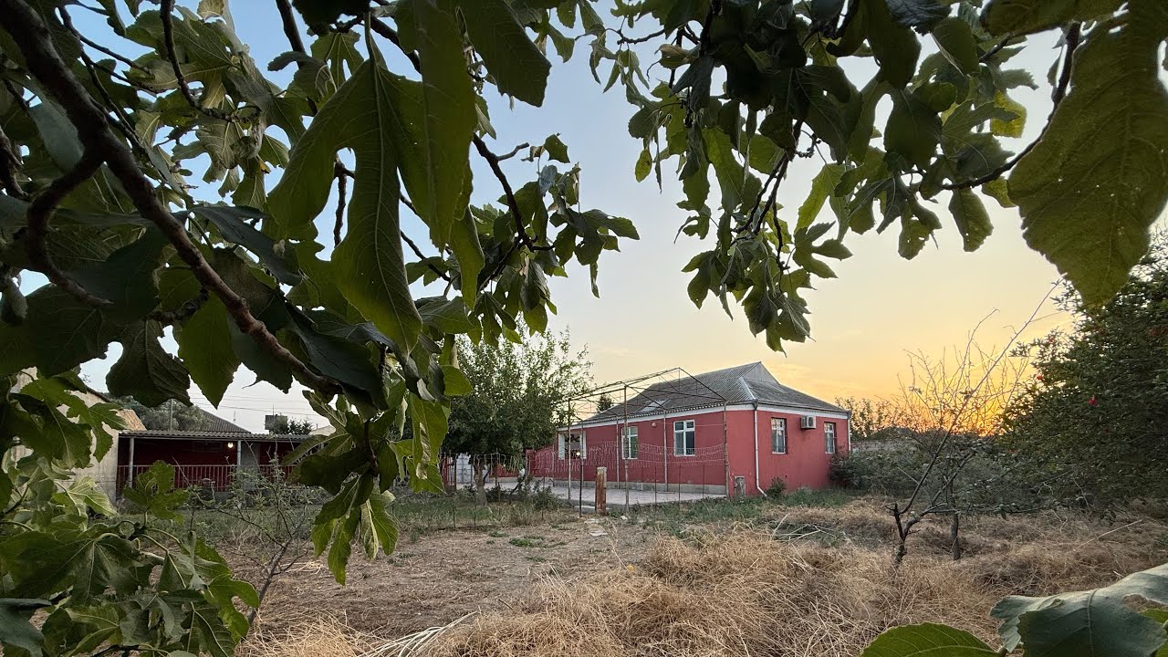 Bu qiymete 10 sotda şexsi tikili ev yoxdur📲055-814-04-66 Gülnar vidyonu izleyin