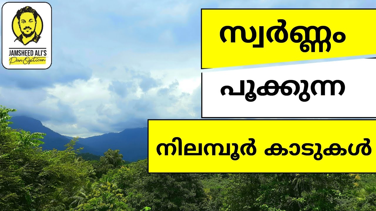 സ്വർണ്ണ നിക്ഷേപം തേടിപ്പോയ നിലമ്പൂർ ഗ്രാമങ്ങൾ | Gold Fields of Nilambur Forest