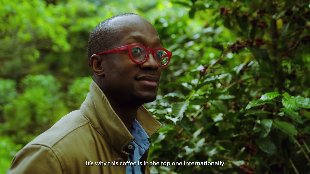 Unbelievable Sights from this Guatemalan Coffee Farm Will Leave You Mesmerized