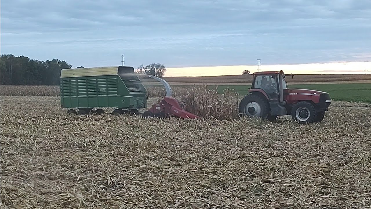 Chopping earlage