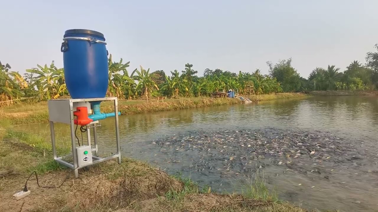 #เครื่อง​ให้อาหาร​ปลา​อัตโนมัติ​  #​fish​feeder