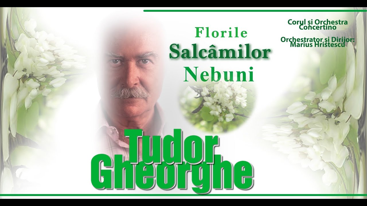 Florile Salcâmilor Nebuni - Tudor Gheorghe