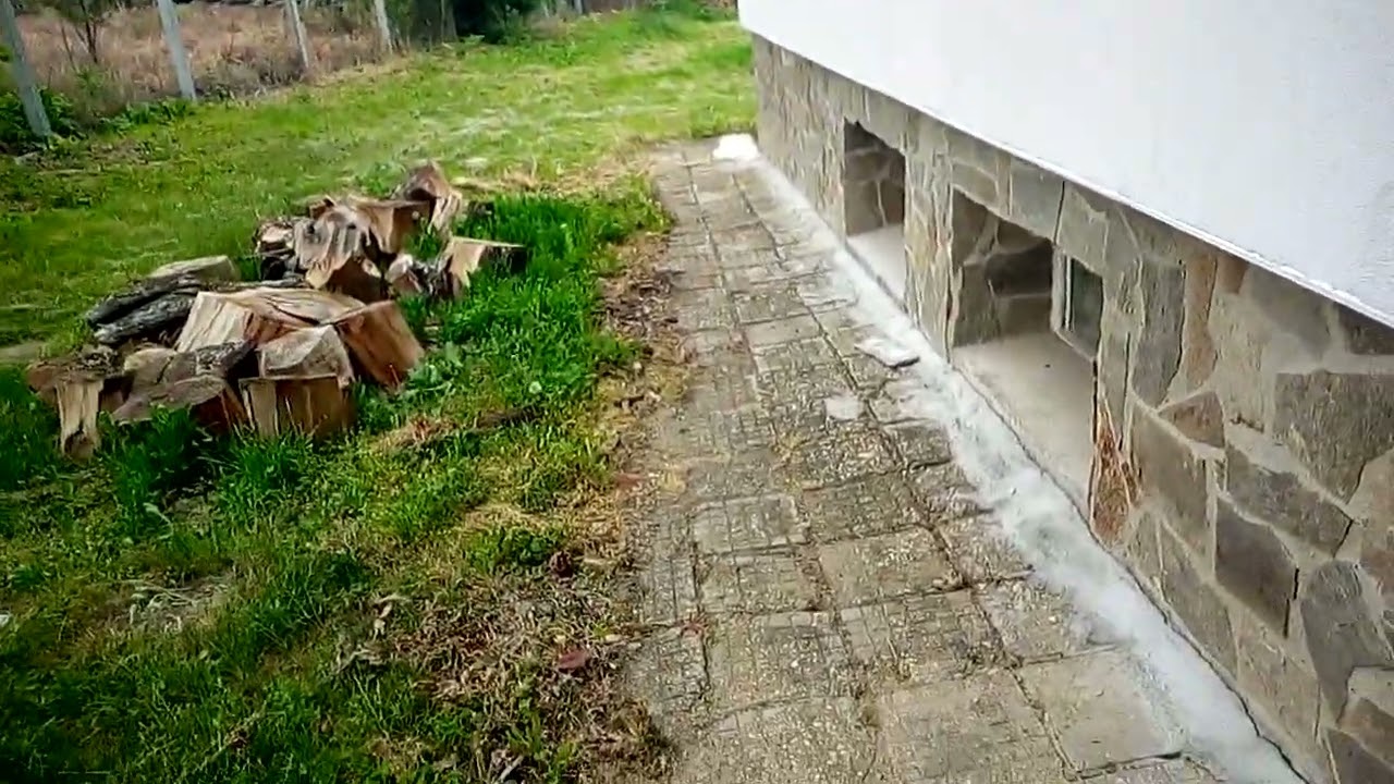 Гнездо ласточек в подвале Swallow nest in a cellar