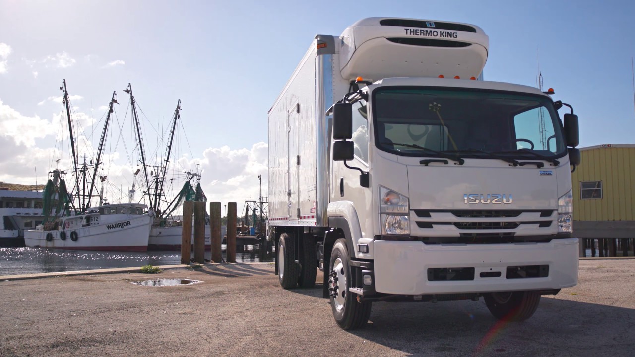 Isuzu FTR with Reefer body in Tampa (Running Footage)