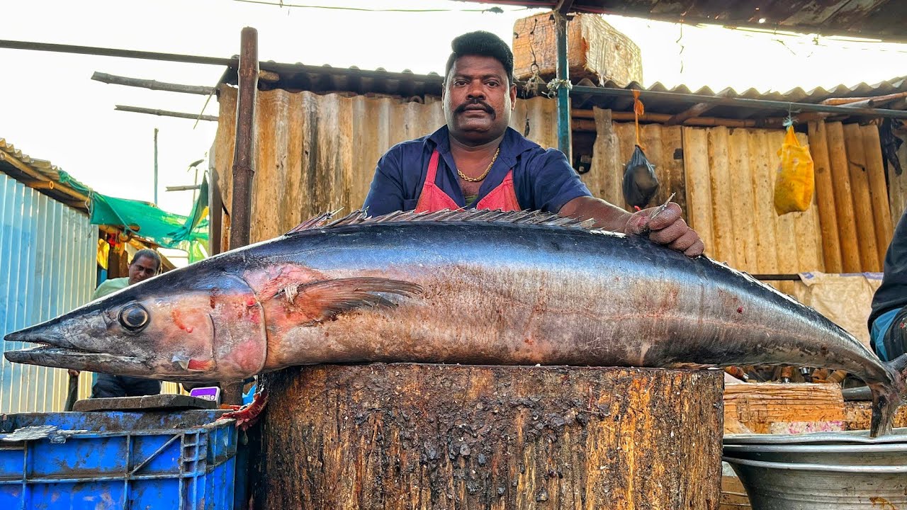 KASIMEDU 🔥 SPEED SELVAM | HUGE ARAKOLA FISH CUTTING VIDEO | 4K VIDEO | KM FISH CUTTING