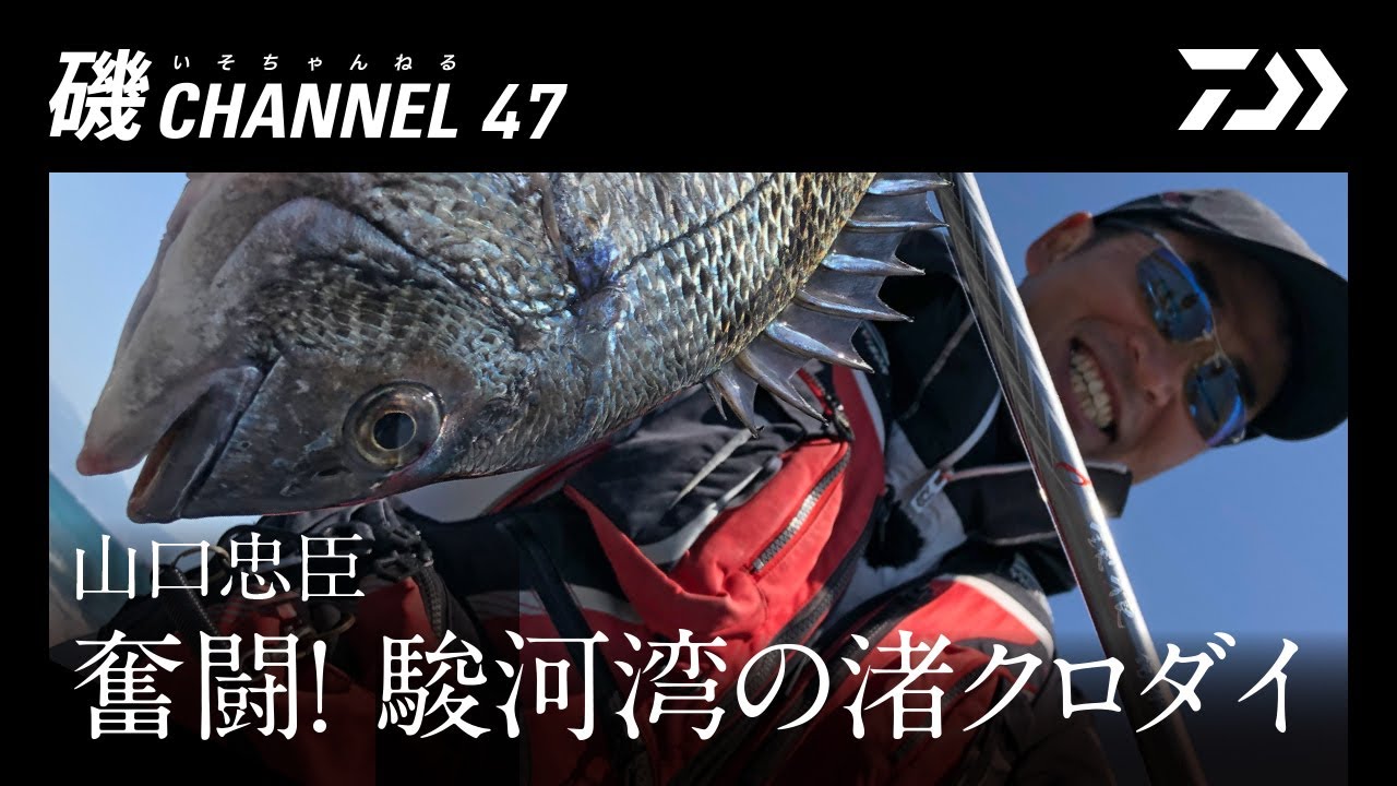 山口忠臣 「奮闘！ 駿河湾の渚クロダイ」の巻｜第四十七回　磯ちゃんねる