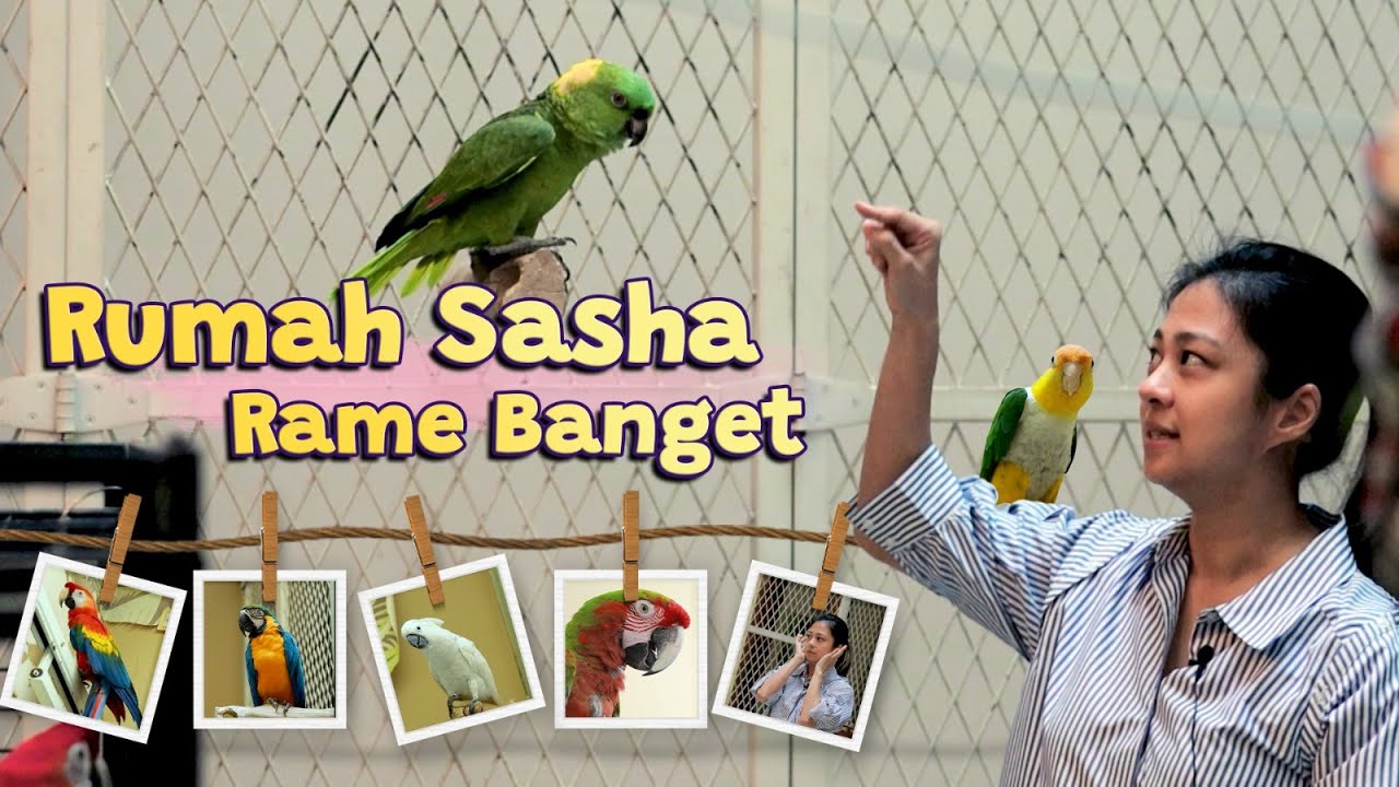Home Tour Rumah Sasha