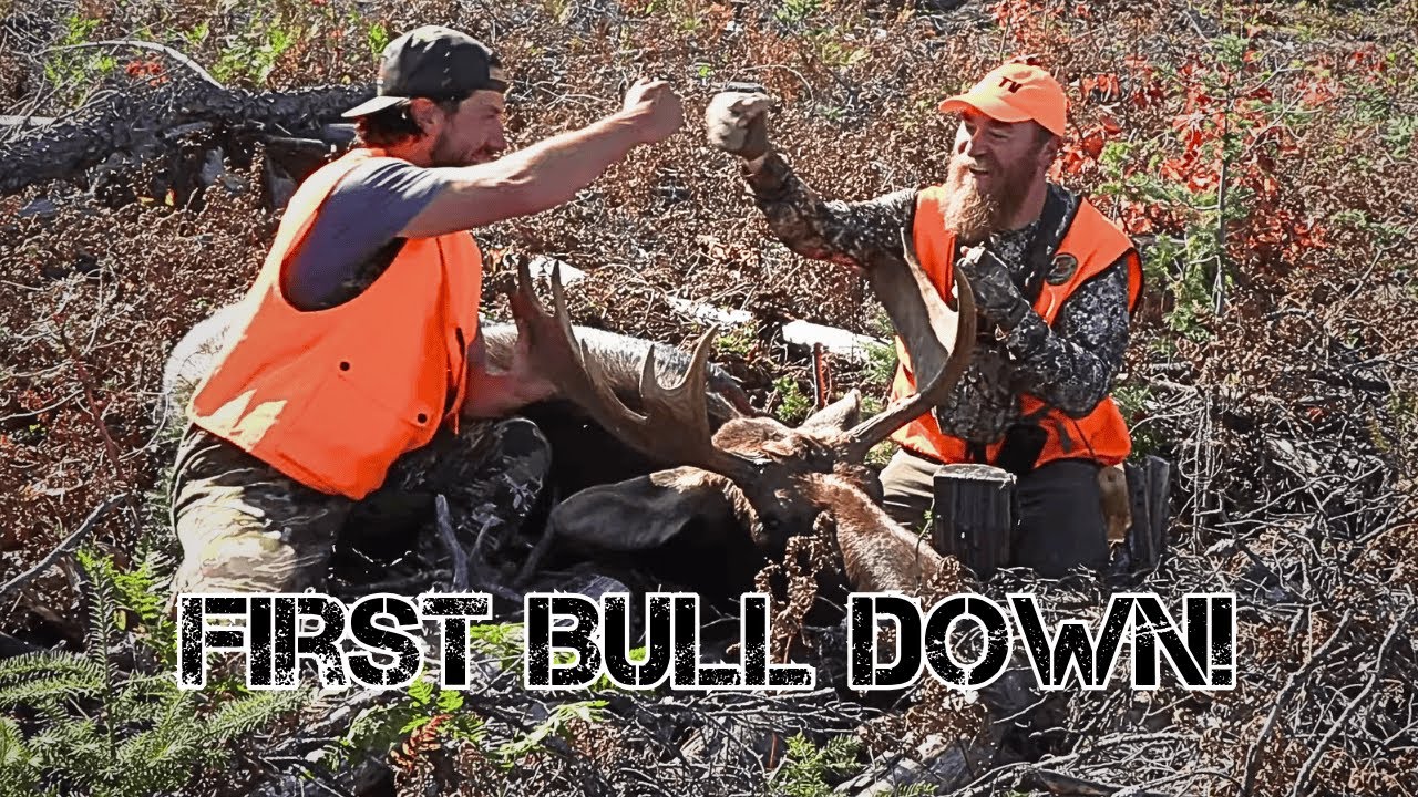 Calling Bulls in Northern Ontario | S08E07