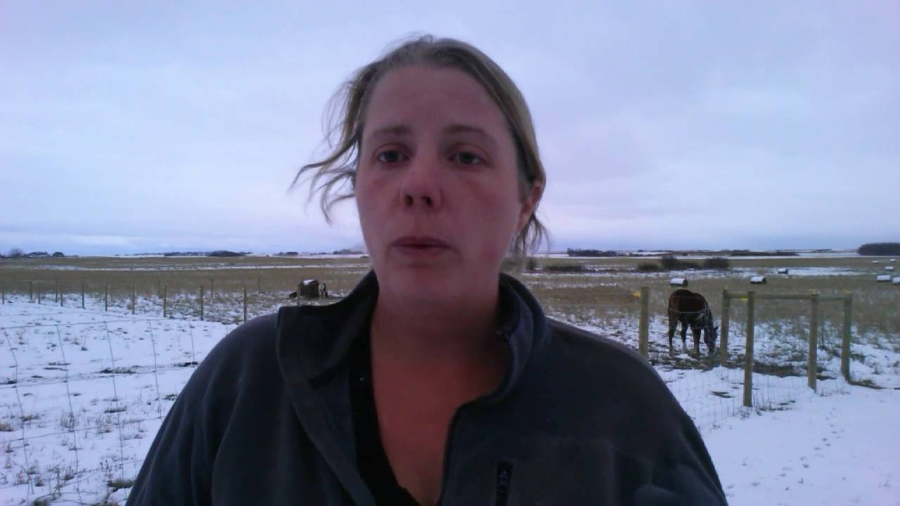 Giving Estrumate to Nigerian Dwarf Doeling