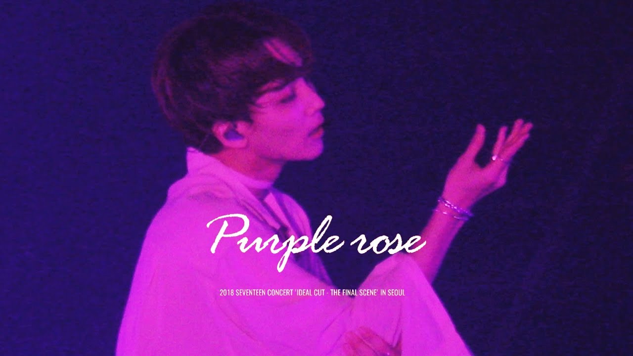 181104 세븐틴 콘서트 'IDEAL CUT THE FINAL SCENE' IN SEOUL - 퍼플로즈(PURPLE ROSE) 정한 솔로