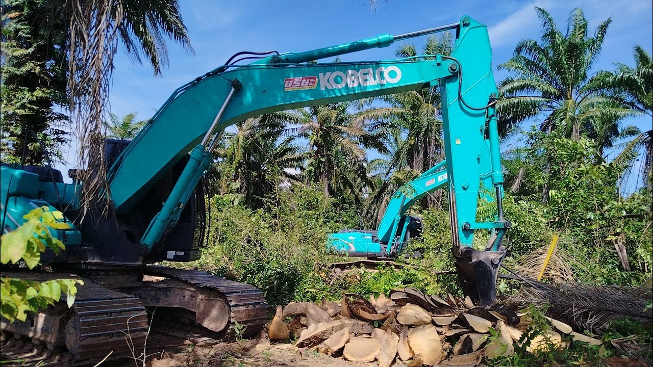 บุกป่าผ่าดง! 2 คัน ถางป่ารก สับปาล์มน้ำมันกันดุเดือด KOBELCO SK200-10SM กับ SK200-8XM