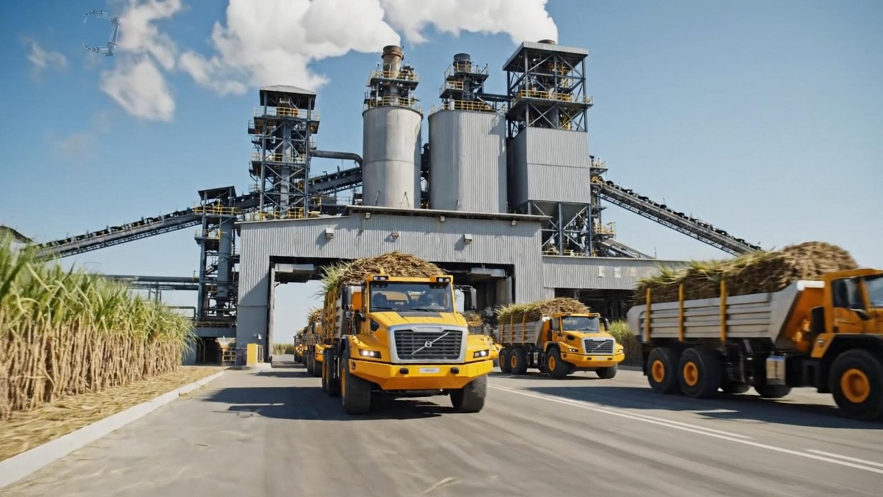 Harvesting to Crystal: Inside the factory | The transformation journey of sugarcane