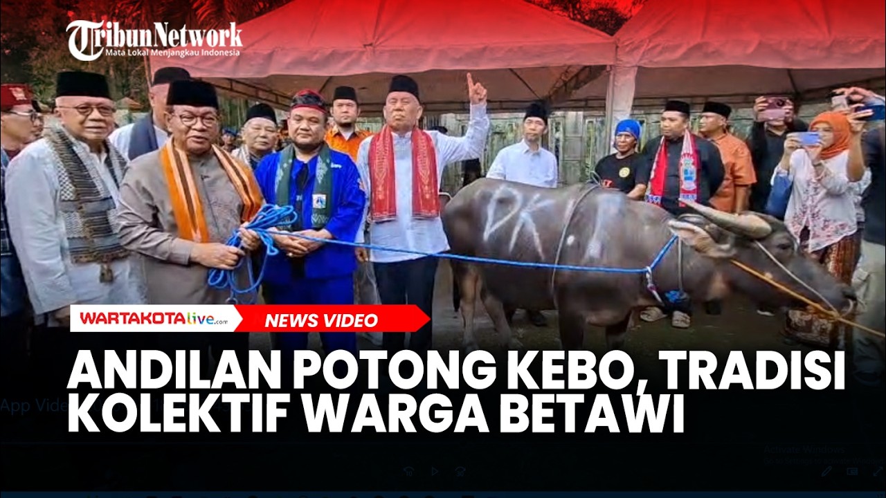 Andilan Potong Kebo, Tradisi Kolektif Warga Betawi Siapkan Daging Menjelang Lebaran