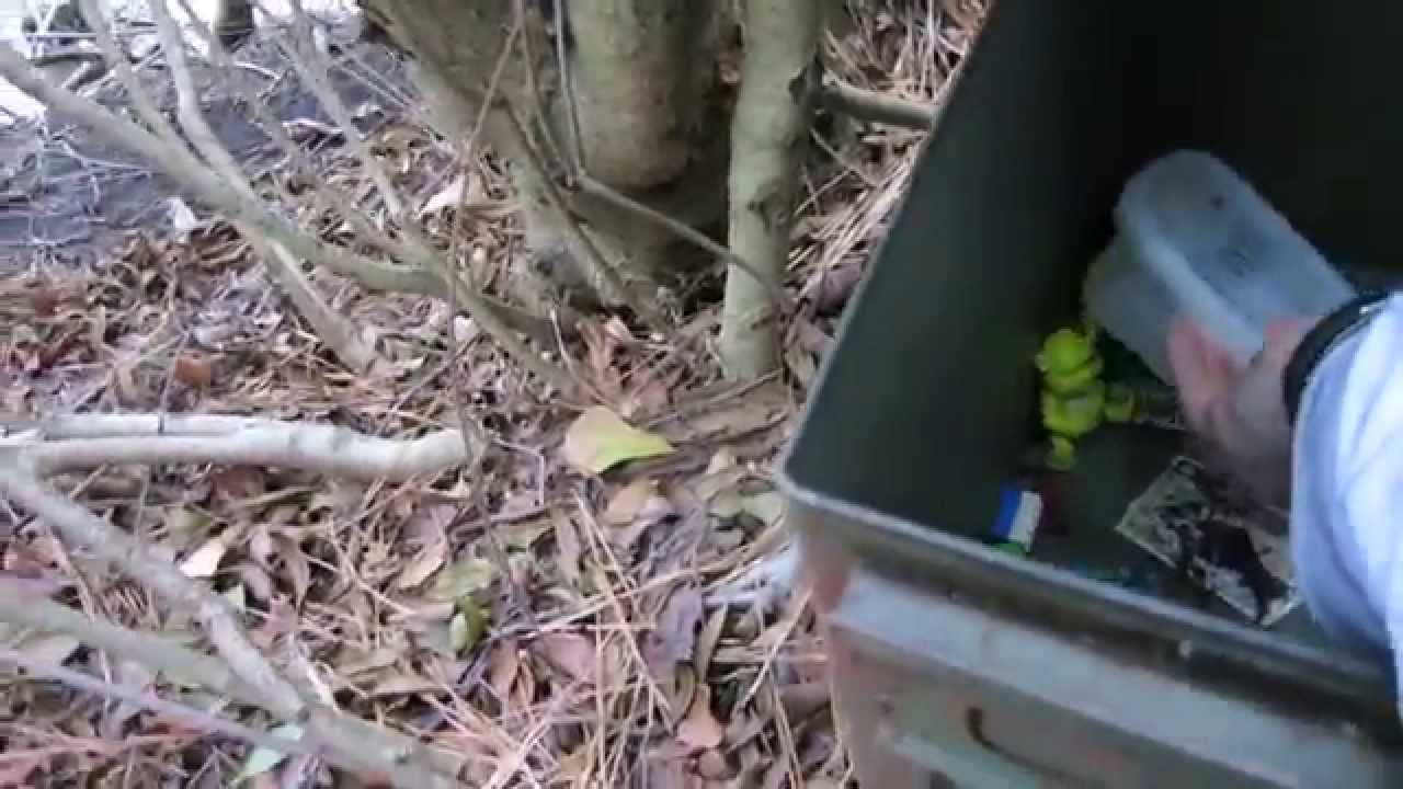 Geocaching: 