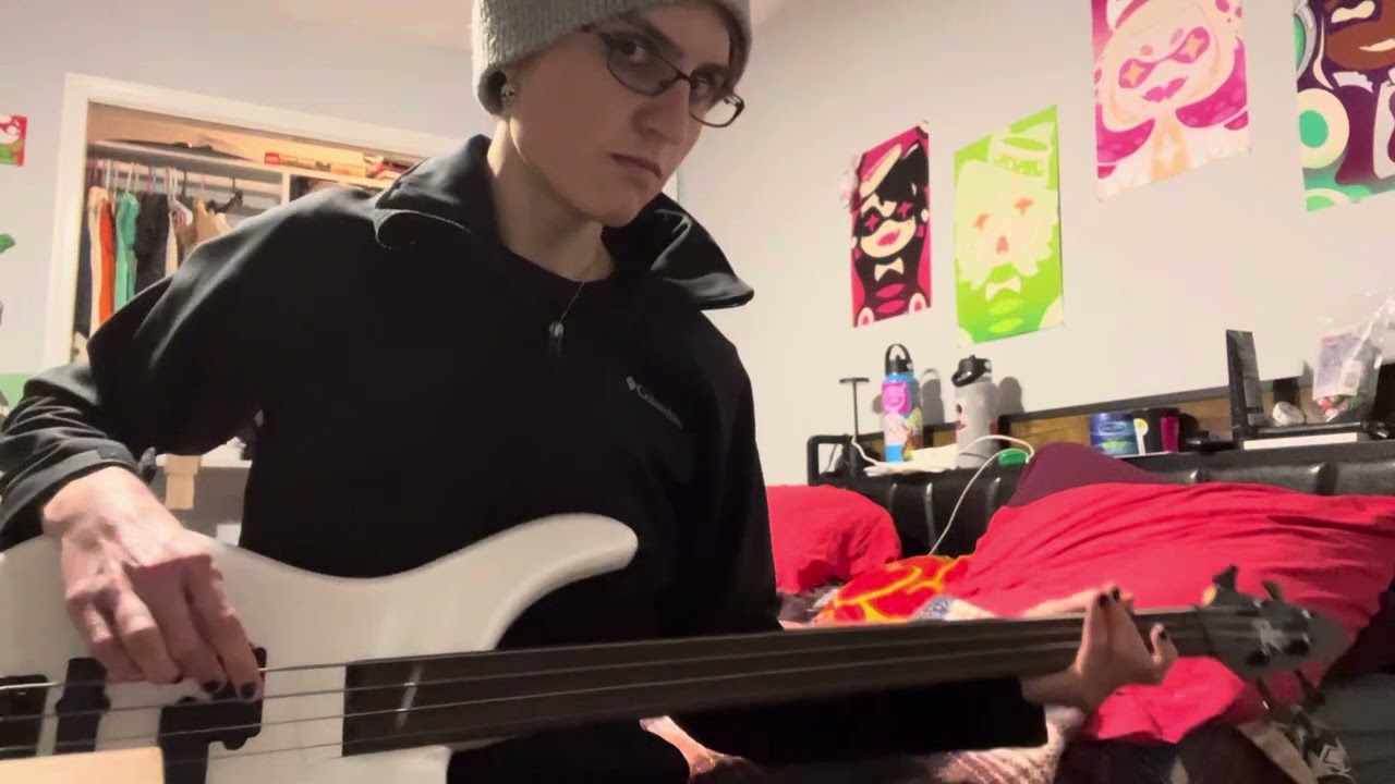 Rogue fretless bass restrung with roundwound 40-95 strings (sound test)