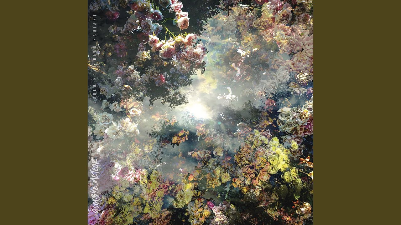 We Could Have Been Radiant