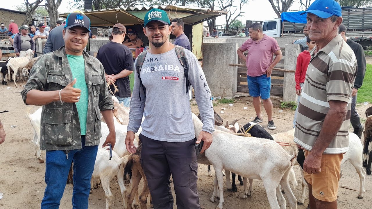 Feira de Animais de Campina Grande na Paraíba. 11/ 03/2026