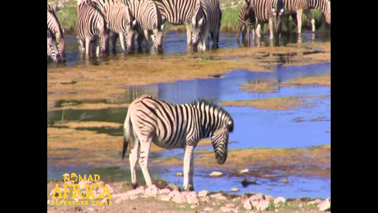 Nomad Adventure Tours Africa