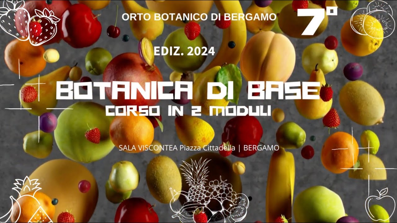 23 aprile 2024 ⎜7° incontro ⎜ Rivivi l'Esplorazione Botanica: Angiosperme, Che Frutti! 🌱🍓