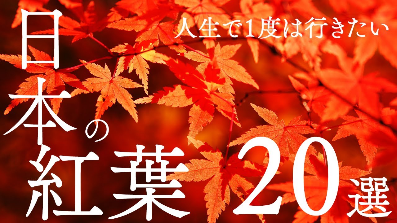 【絶景】人生で1度は行きたい日本の紅葉スポット20選