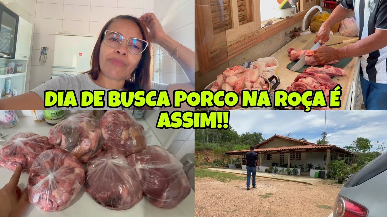 DIA DE MATAR PORCO NA ROÇA É ASSIM!! FOMOS BUSCAR ÁGUA! COMPRAMOS MUITO PORCO! cantinho da Malu 