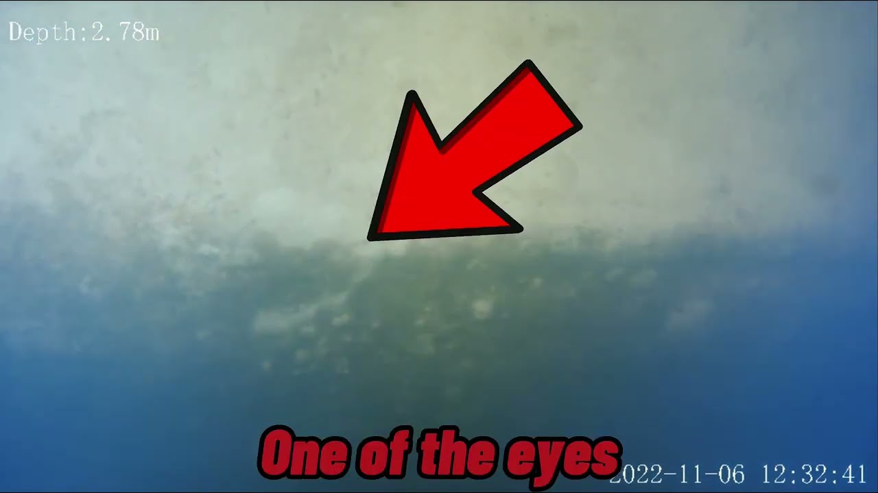 Rare Footage Of The HISTORIC Moby Dick Animatronic Under The Water To This Day