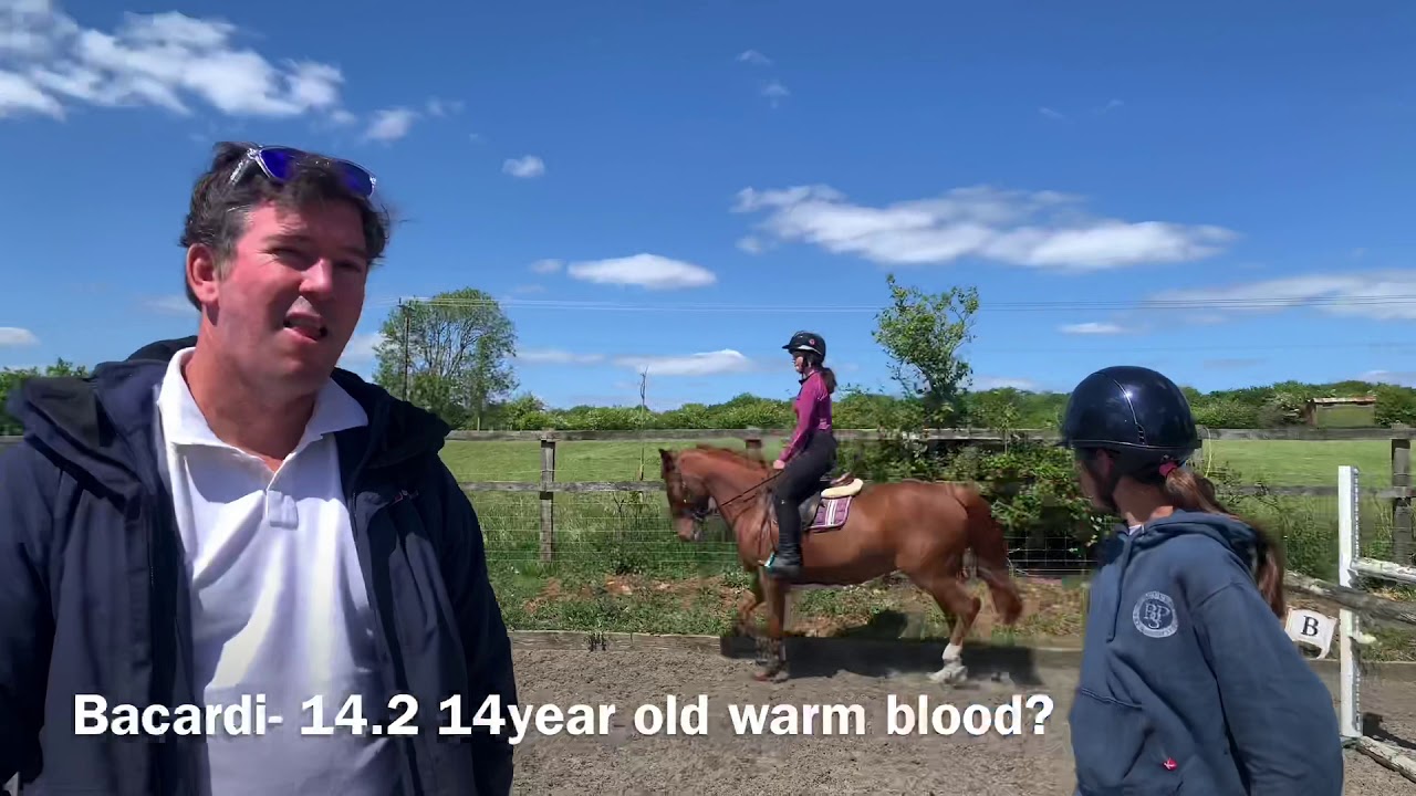 TRYING OUT HORSES:)