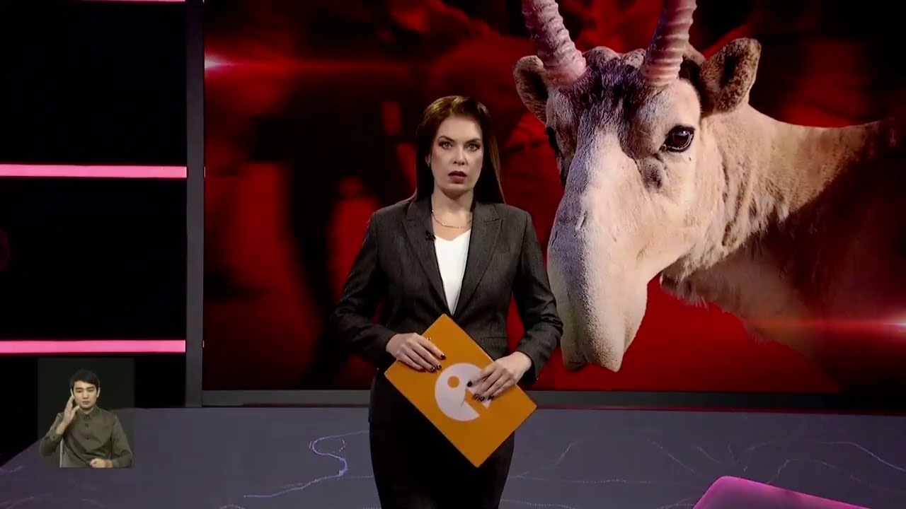 В деле о потасовке сельчан и инспекторов «Охотзоопрома» появились новые подробности