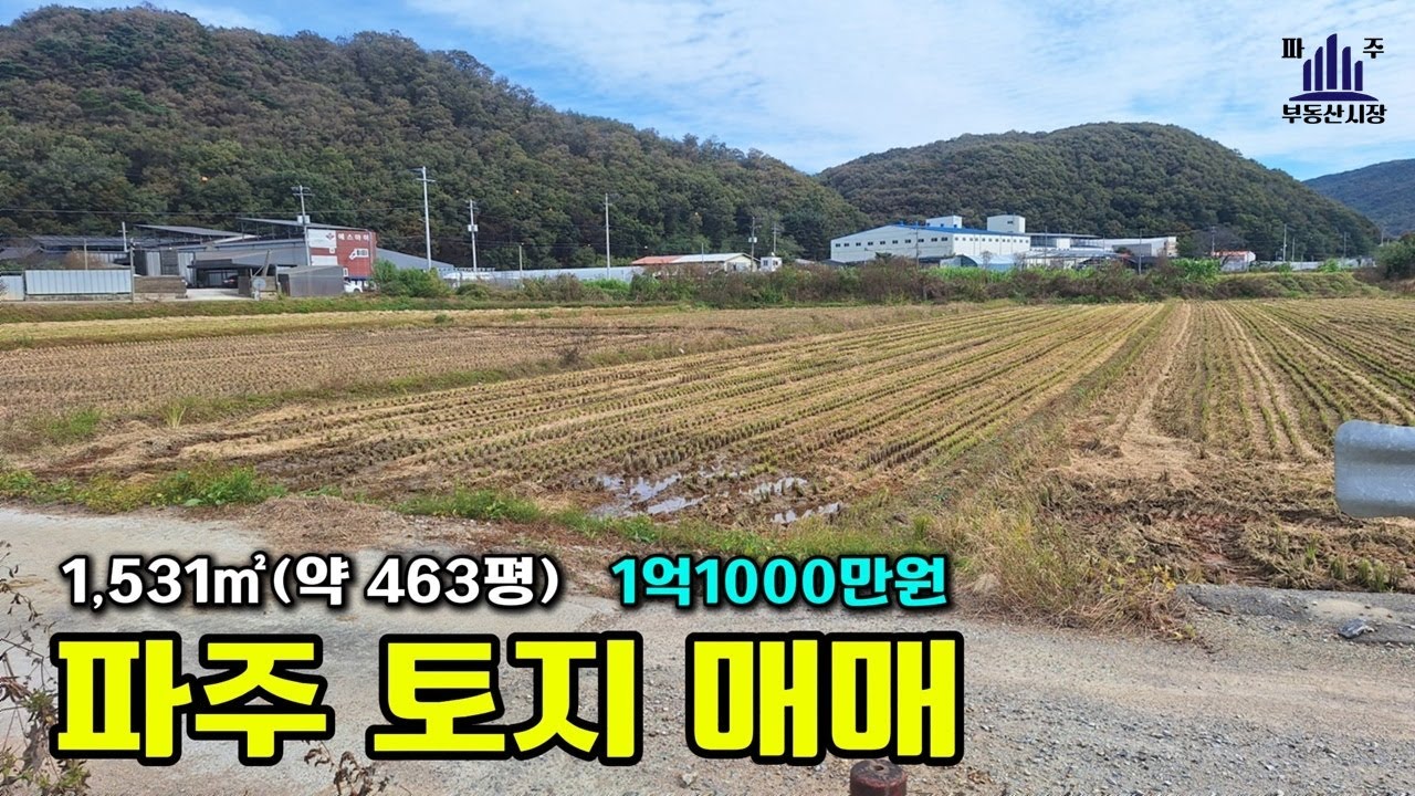 접근성 좋고 주말농장 하기 좋은 아담한 파주농지매매 #파주토지매매