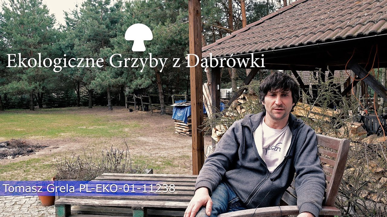 Ekologiczne grzyby z Dąbrówki #kupujświadomie