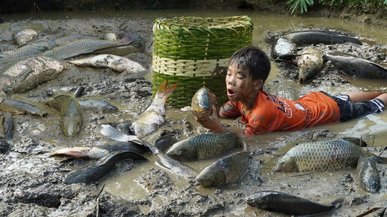 How to catch fish in deep mud: A simple way to make yellow cake at home