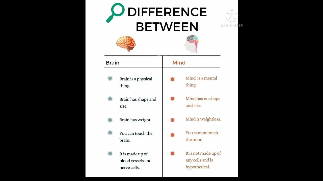 DIFFERENCE BETWEEN Brain and Mind...