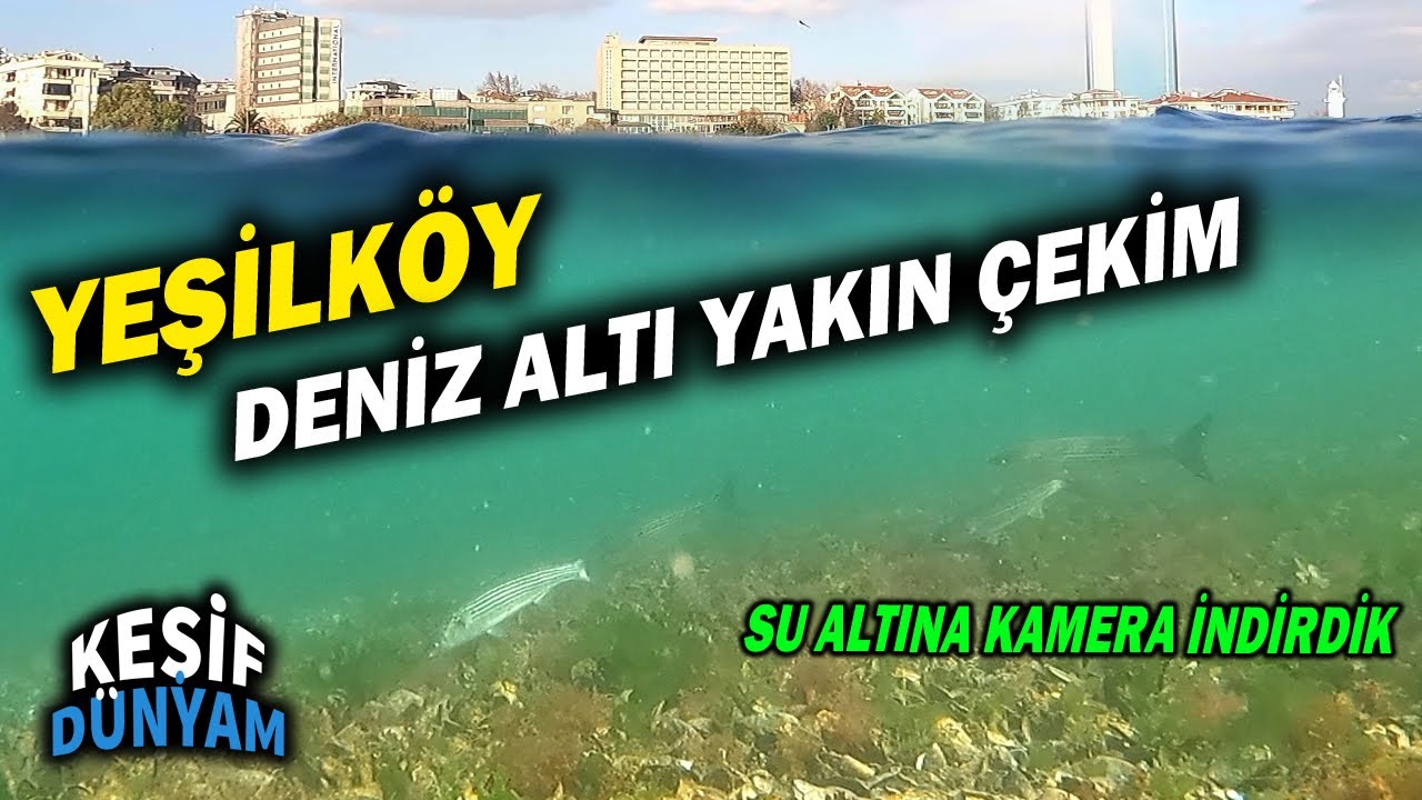 YEŞİLKÖY'DE DENİZE KAMERA İNDİRDİK! SU ALTINI YAKINDAN GÖRÜNTÜLEDİK...