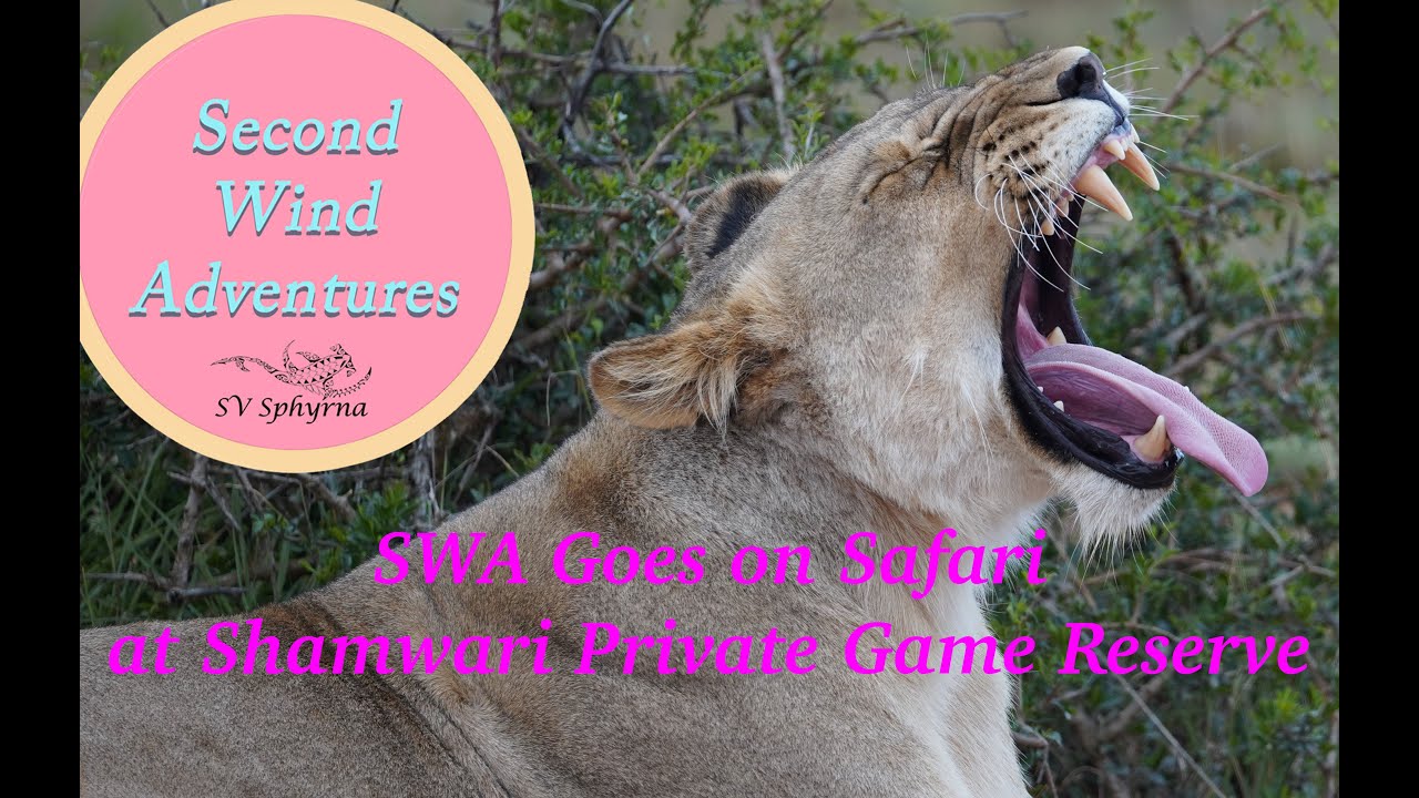 E10 - SWA Goes on Safari at Shamwari Private Game Reserve