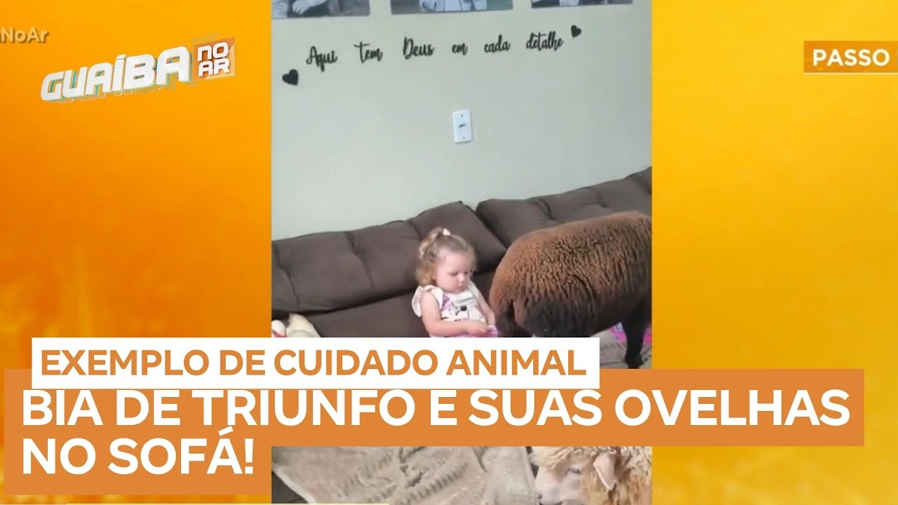Inocência Pura: Menina de 2 Anos Surpreende Mãe ao Levar Ovelhas para o Sofá!