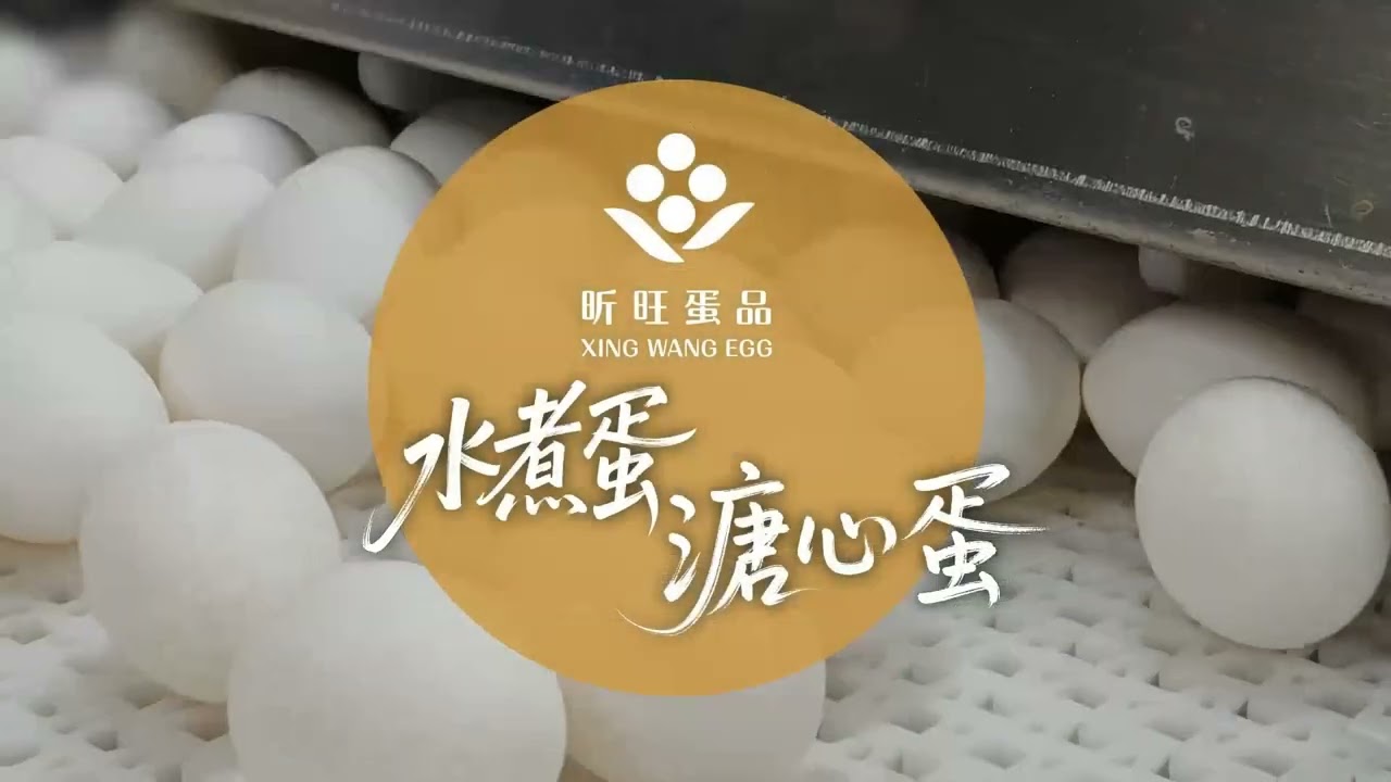 昕旺蛋品60周年 李九春製作