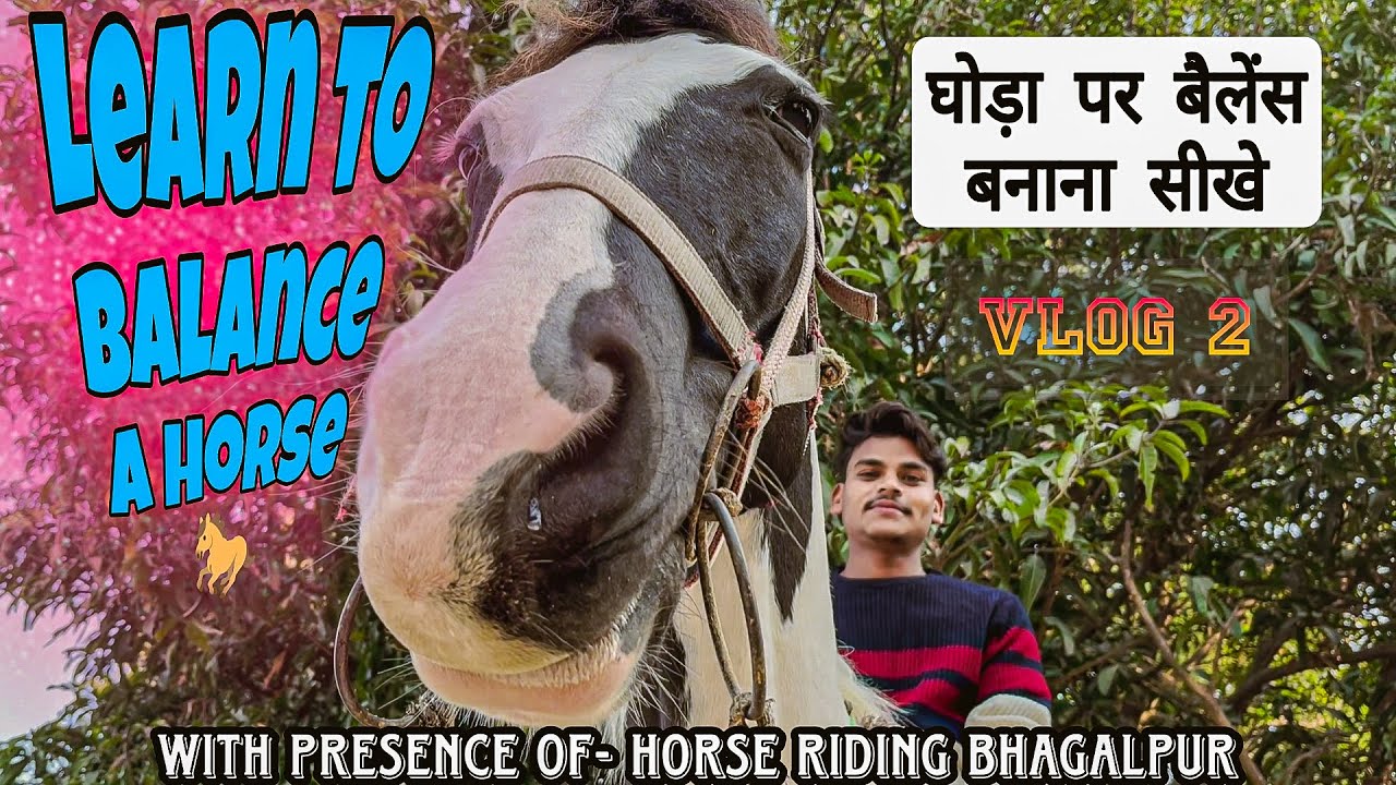 घोड़े पर बैलेंस बनाना सीखें। LEARN TO BALNCE A HORSE 🐎| VLOG - 2